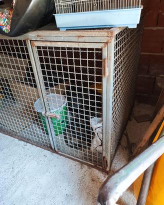 Maxi Box / Gabbia in ferro pesante per animali