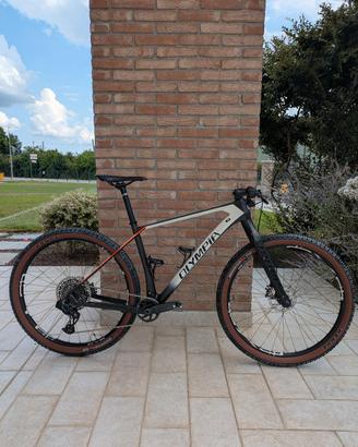 Olympia F1 mtb 29 leggi descrizione 
