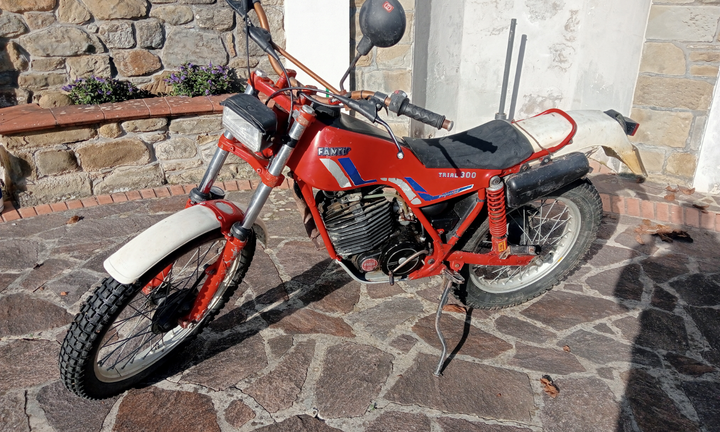 Trial Fantic 300 Professional