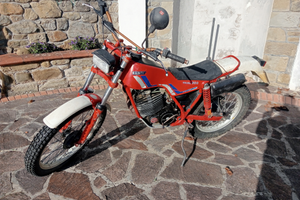 Trial Fantic 300 Professional