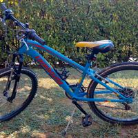 Bicicletta "Lombardo Tropea 24"