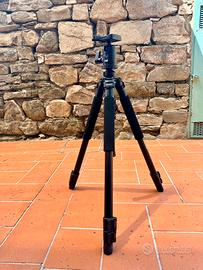 Cavalletto Benro A500F