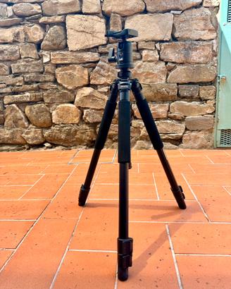 Cavalletto Benro A500F