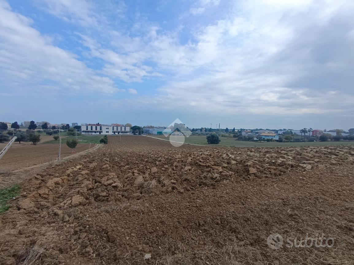 TERRENO A TORTORETO - Altro