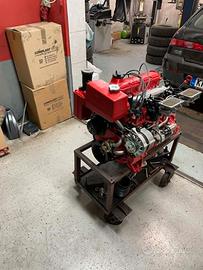 Tullio abbate sea star Project