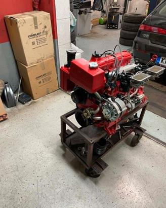 Tullio abbate sea star Project