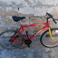 Bicicletta Top Bike 