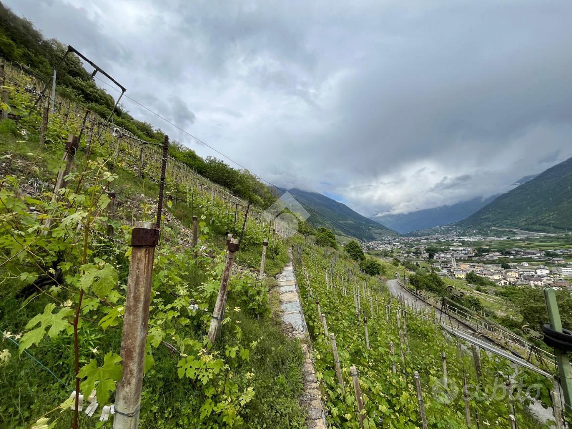 TER. AGRICOLO A VILLA DI TIRANO - Vista 3