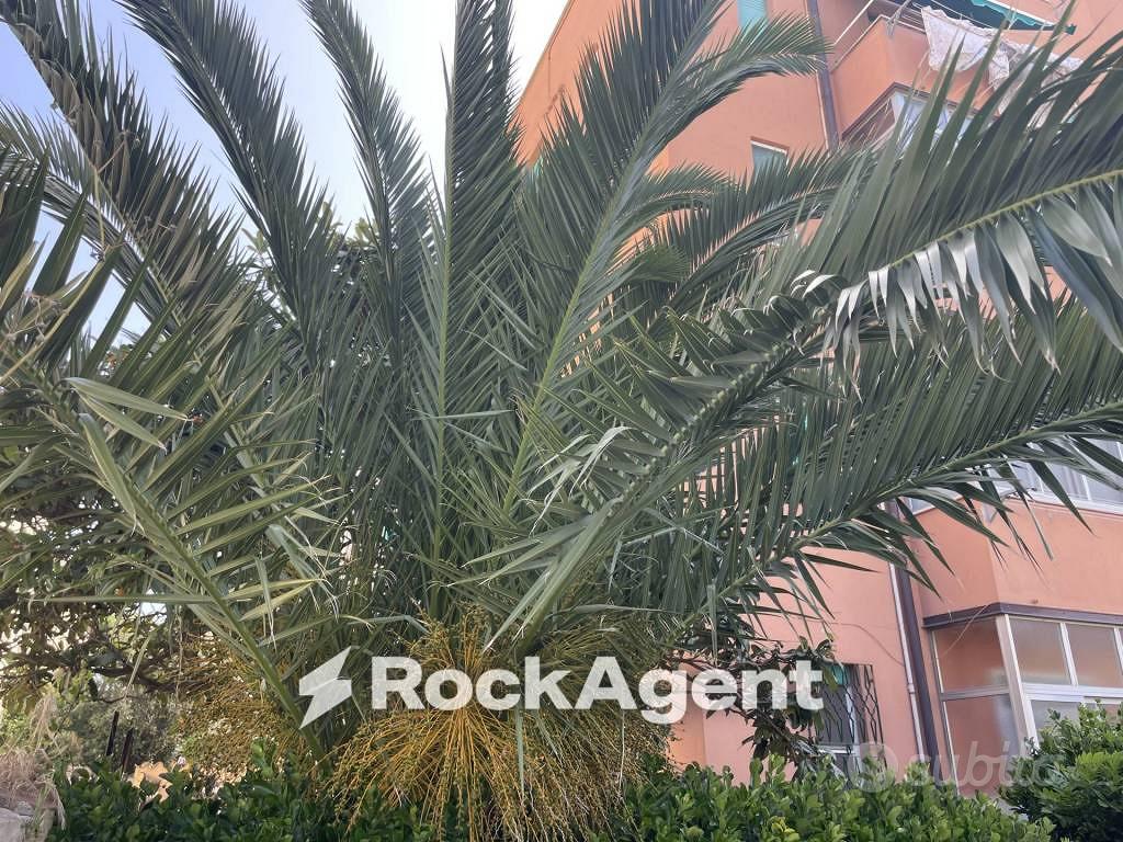 Appartamento – Livorno, Fabbricotti, Consiglio di Zona 3 - Vista 2