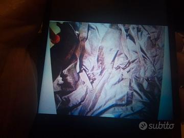 PROTYPE BORSA PORTA BICI PIEGHEVOLE ELETTRICA