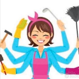 Collaboratrice domestica Colf Governante