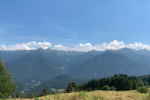 Ampio terreno con rustici/casetta