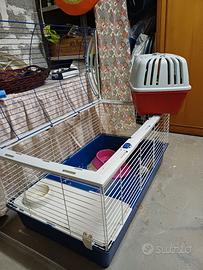 gabbia per coniglio e trasportino