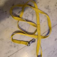 Guinzaglio Haqihana Giallo + Collari Pelle/Mix