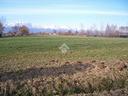 ter-residenziale-a-rivarolo-canavese