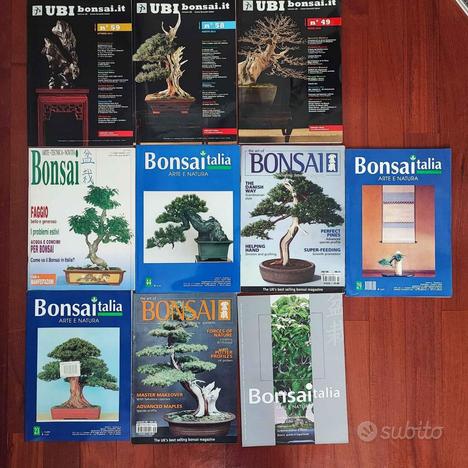 Riviste bonsai 8/22 UBI Bonsai Italia The Art of B usato  Ravenna