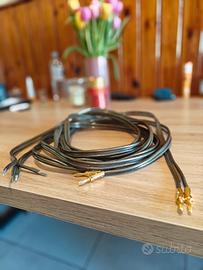 Coppia cavi di potenza Triangle Opera 2×4.0mm