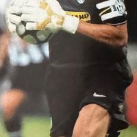 Poster grandezza Naturale BUFFON