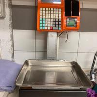 Bilancia Professionale SPES EGO3400