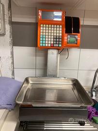 Bilancia Professionale SPES EGO3400