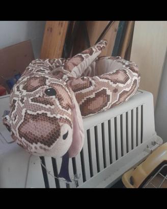 Serpente grande di pelux gioco x bambini
