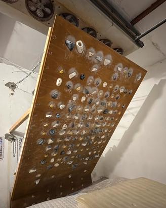 Moonboard serie 2016