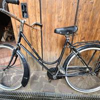 Bicicletta da Donna a bacchette.