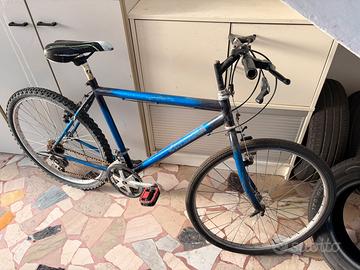 Bici uomo