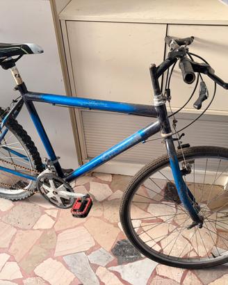 Bici uomo