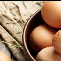 Uova e galline Wyandotte orlo nere, blu e splash