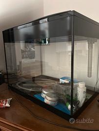 Acquario per pesci