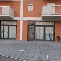 Locale commerciale con ampio parch