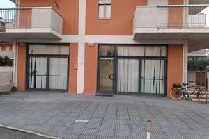 Locale commerciale con ampio parch