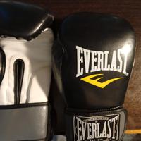 guanti da boxe everlast