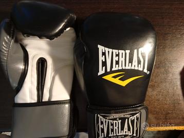 guanti da boxe everlast