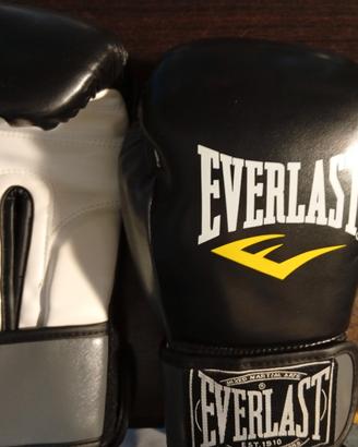 guanti da boxe everlast