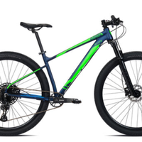 Mountain bike BRERA ALIEN SRAM 12V NUOVE