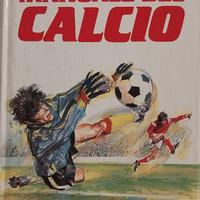 storico manuale del calcio