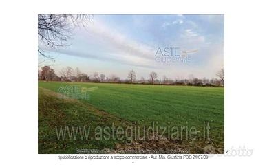 Terreno Agricolo Goito [A4349209]