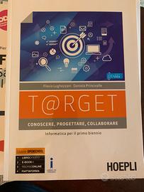 Target informatica