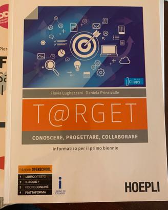 Target informatica