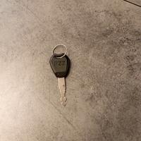 Bicicletta elettrica