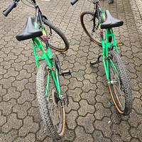 bicicletta mountain bike