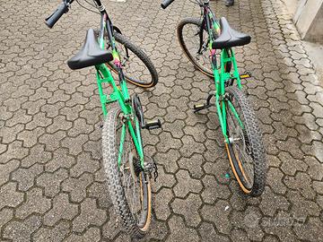 bicicletta mountain bike