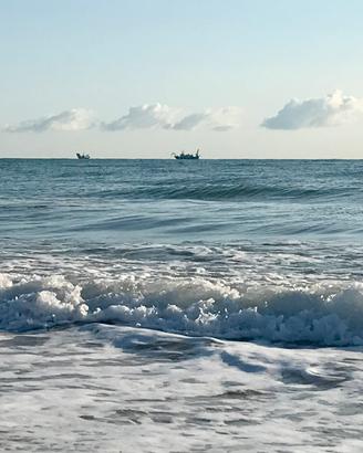 AGOSTO Al mare di Tortoreto Lido