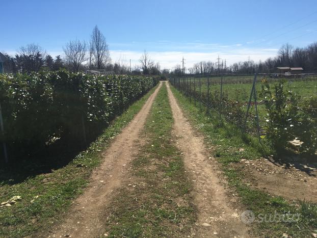 Terreno agricolo con acqua potabile