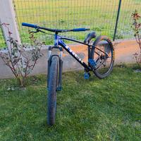 trek marlin 6 next gen 29" L kittata willie 