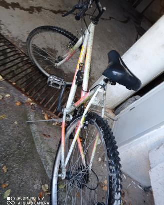 MTB omas