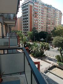 Luminoso quadrivani in contesto signorile