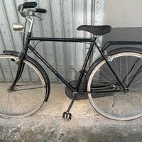 Bici da uomo